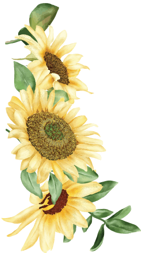 Sunflower decoration